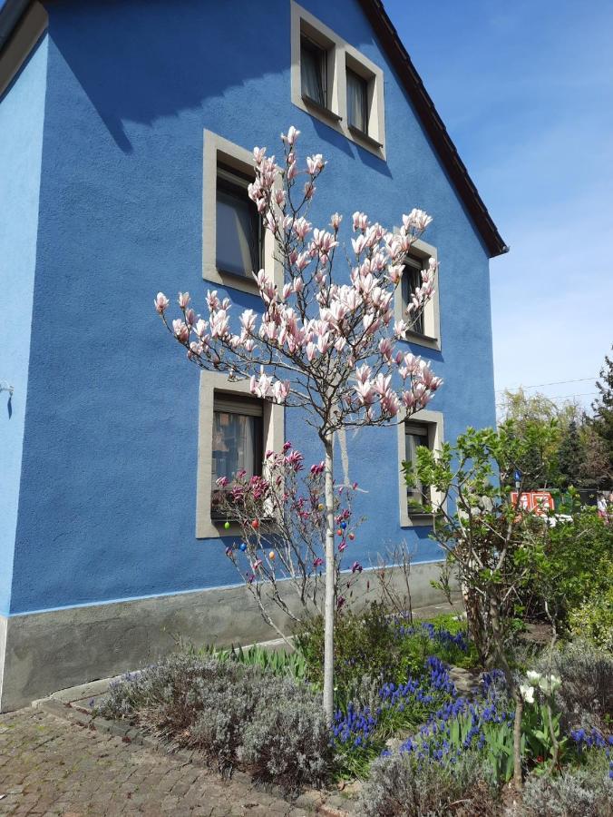 Апартаменты Kunstoase Am Blauen Haus Дрезден Экстерьер фото